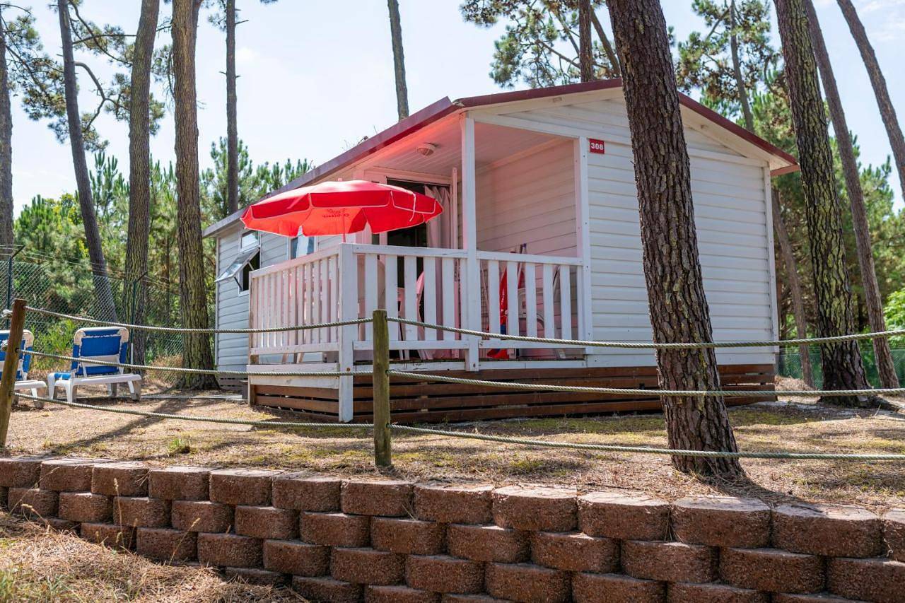 Mobile Home in Ria de Aveiro, Aveiro