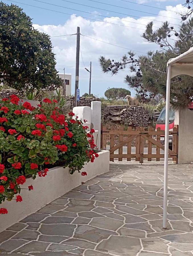 Location de vacances pour 2 personnes, avec vue ainsi que jardin et terrasse dans Kithnos Chora - 2