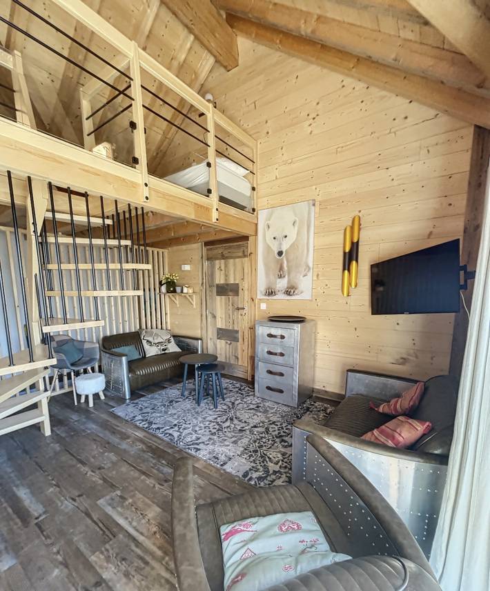 L'Albaron - chalet 19 - skis aux pieds in La Toussuire, Fontcouverte-la-Toussuire