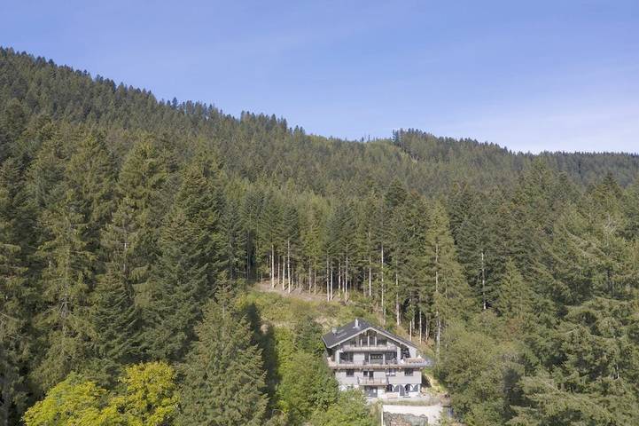 Ferienwohnung für 3 Personen, mit Garten und Terrasse in Alpirsbach - 2