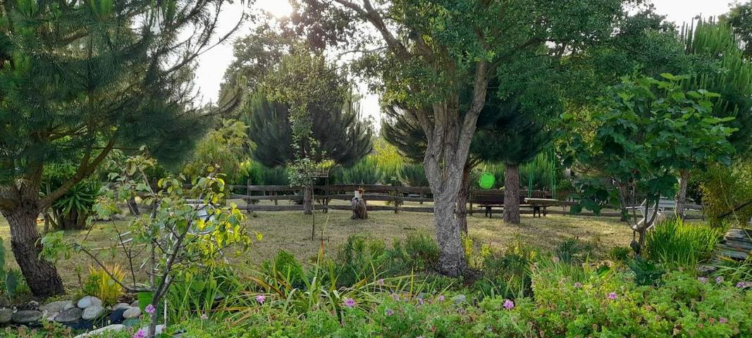 Gîte pour 4 personnes, avec piscine et jardin ainsi que vue et balcon dans Coimbrão - 2