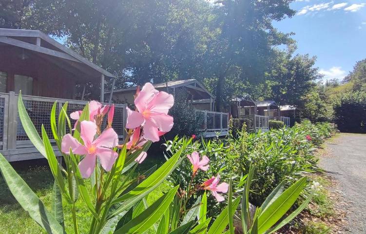 Location de vacances pour 8 personnes, avec piscine et terrasse à Les Epesses - 4