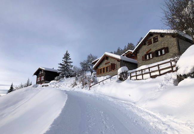 Tiny House facing the Alps - Ski in and out in Ayent, Sion - Sierre & Umgebung