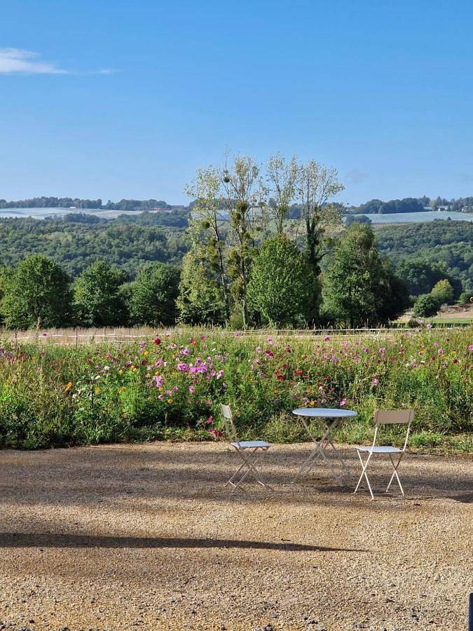 Gîte pour 4 personnes, avec piscine ainsi que vue et jardin à Saint-Cyr-les-Champagnes - 2