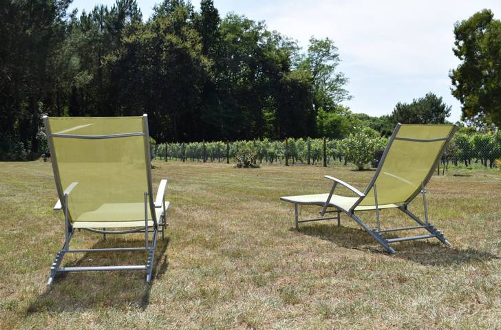 Gîte pour 13 personnes, avec jardin et terrasse, animaux acceptés dans Lac de Léon - 4