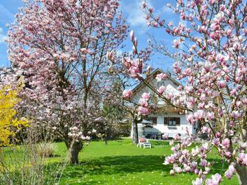 Ferienhaus für 5 Personen, mit Garten und Terrasse, mit Haustier am Chiemsee