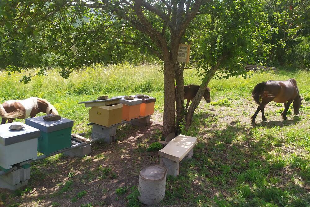 Casa dei nonni surrounded by nature and mountains in Borgo Val di Taro, Appennino Parmense