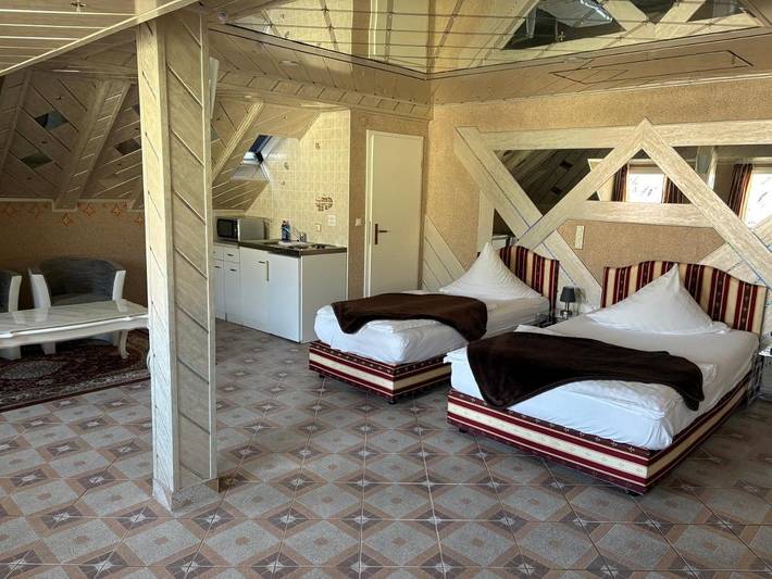 Hotel, mit Sauna in Schwetzingen - 3