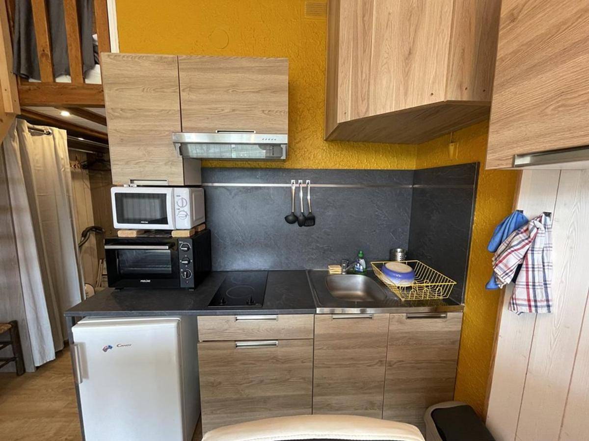 Appartement entier, Studio rénové au pied des pistes, idéal pour 4 pers, avec Wifi, animaux acceptés, casier à skis inclus - Fr-1-787-54 in Le Lioran, Laveissière
