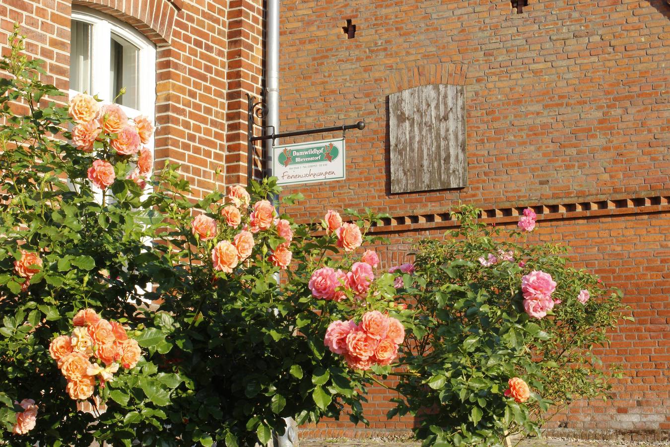 Ganze Wohnung, Ferienwohnung 'Damwildhof Fewo Zur Kastanie' mit Gemeinschaftsgarten und Wlan in Blievenstorf, Ludwigslust-Parchim