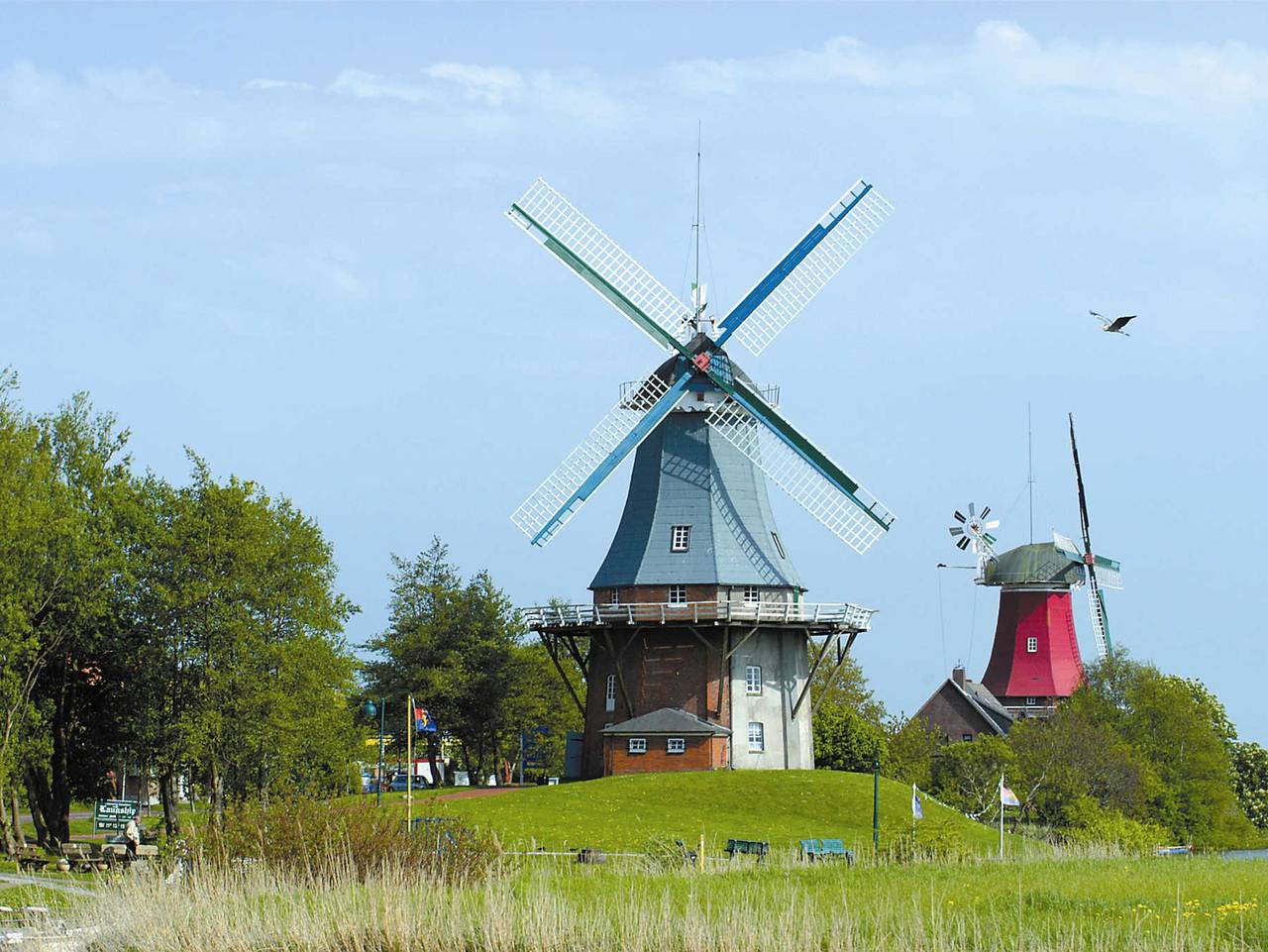 Bild 1