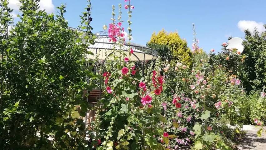 Ferienhaus für 4 Personen, mit Terrasse und Garten, mit Haustier in Garz/Rügen - 3