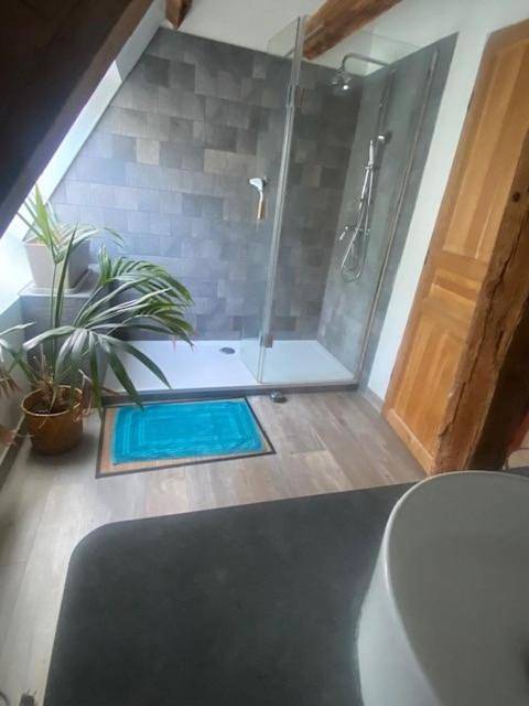 Maison d’hôte pour 4 personnes, avec jardin à Tours - 4