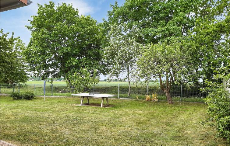 Ferienhaus für 4 Personen, mit Terrasse, mit Haustier in Mecklenburg-Vorpommern - 3