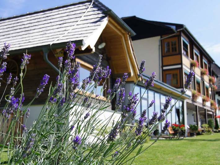Hotel für 3 Personen, mit Garten und Terrasse, mit Haustier in der Oststeiermark