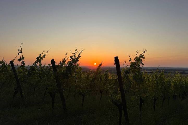 Ferienwohnung für 4 Personen in Kitzingen