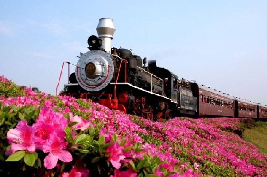 Palmenhaus mit Kiosk + Déck (Serra Gaúcha) in Bento Gonçalves, Rio Grande do Sul