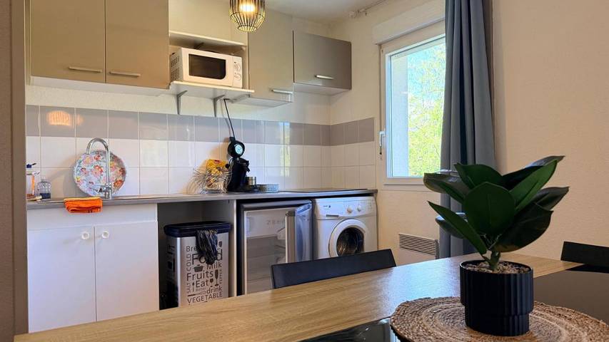 Gîte pour 6 personnes, avec balcon et vue, animaux acceptés à Château-Arnoux-Saint-Auban - 3