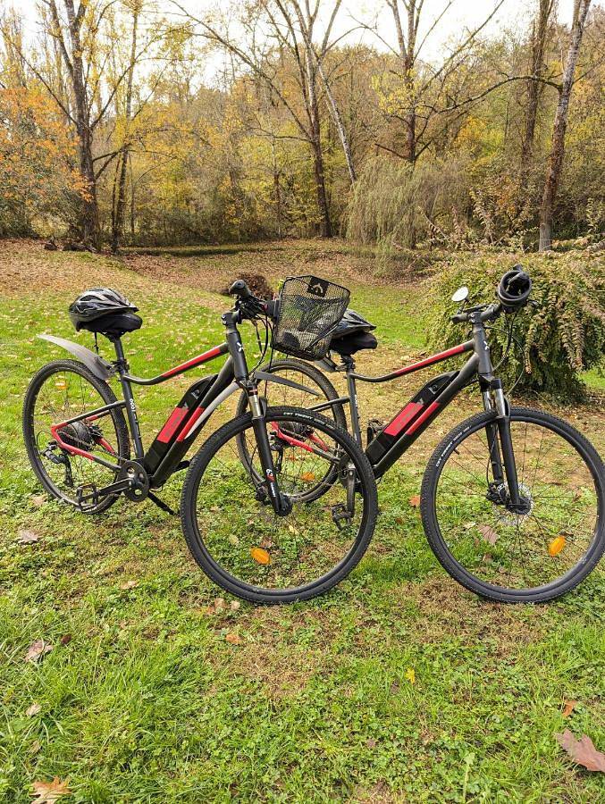 Location de vacances pour 2 personnes, avec terrasse et jacuzzi, animaux acceptés à Le Buisson-de-Cadouin - 2