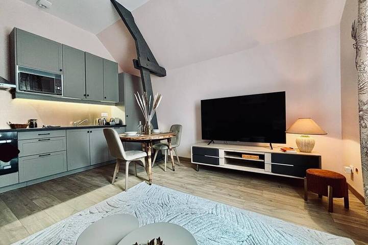 Ganze Wohnung, Le Kozy - Large renovated T2 with private parking.  Pets allowed. in Vendôme, Loire-Tal