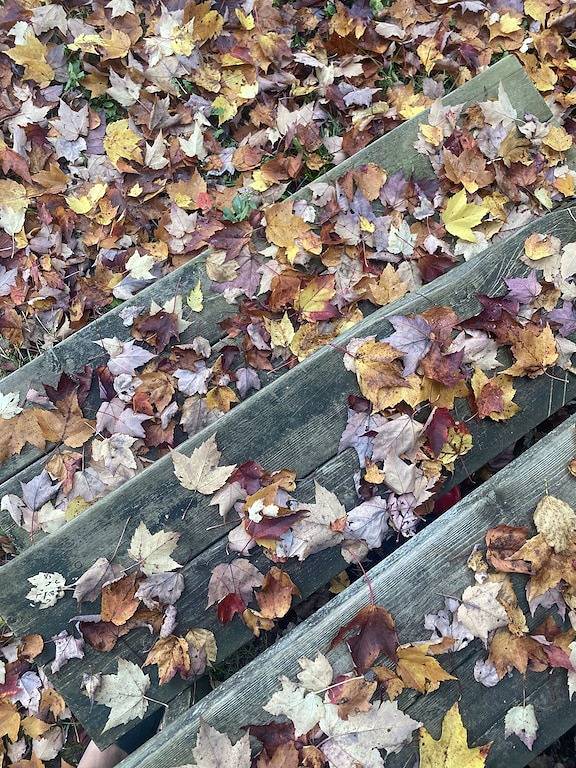 Cottage for 8 people, with garden and terrace in Kawartha Lakes