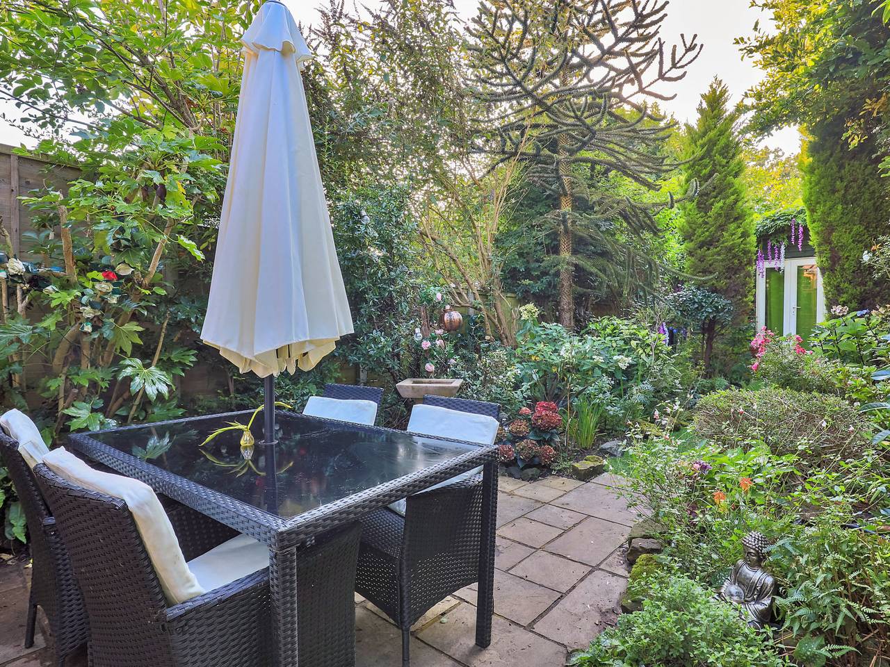 Bracken in Dormansland, Surrey