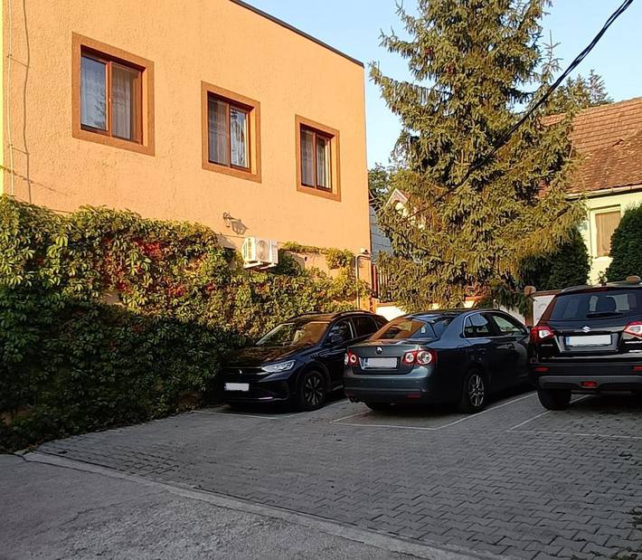 Maison d’hôte pour 4 personnes, avec Terrasse dans Sighișoara - 3