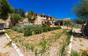 Finca in Vilafranca de Bonany, Mallorca Inselmitte für 12 