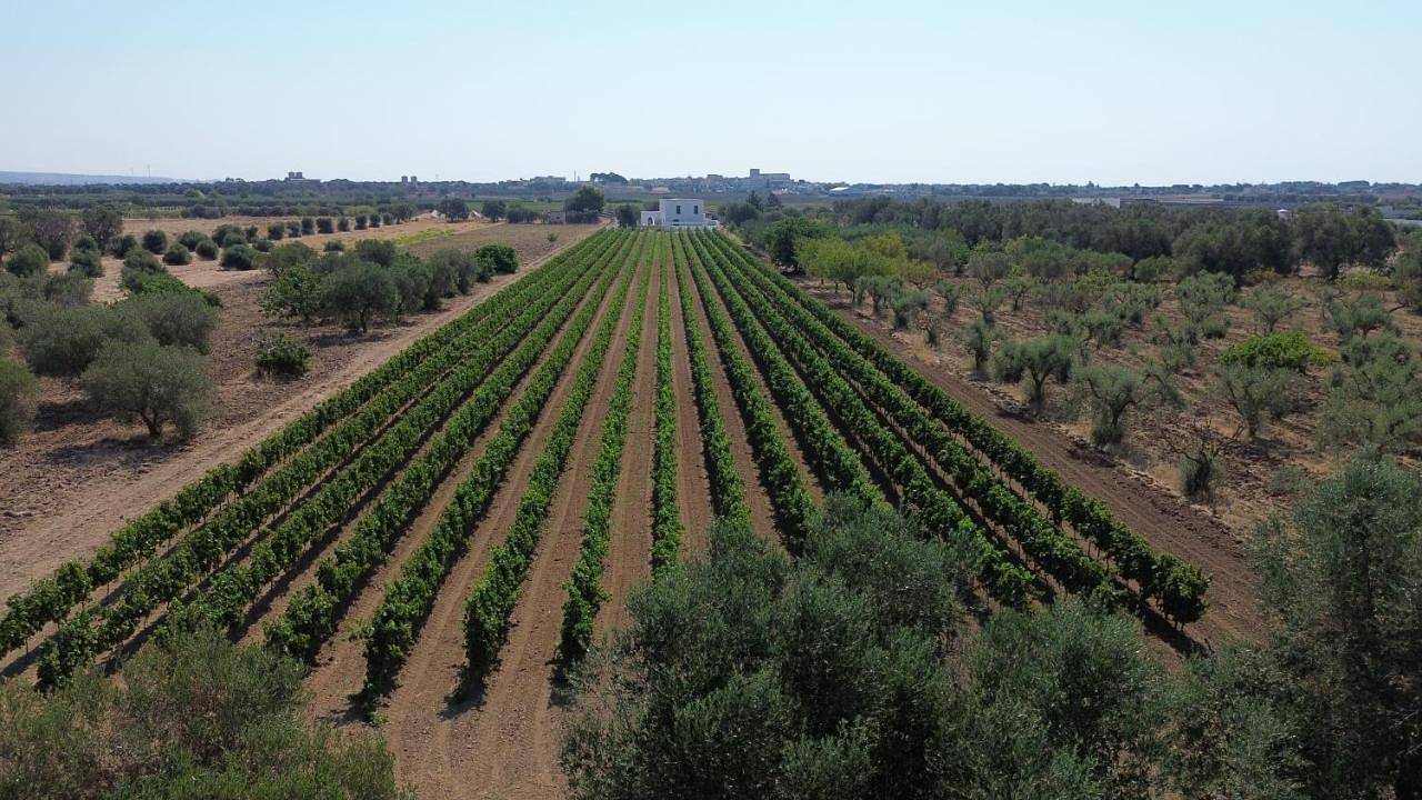 Giù al Vigneto in Leporano, Golfo di Taranto