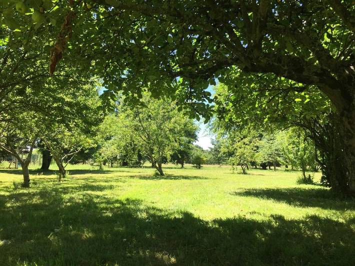 Gîte pour 5 personnes, avec jardin, adapté aux familles à La Lande-de-Fronsac - 2