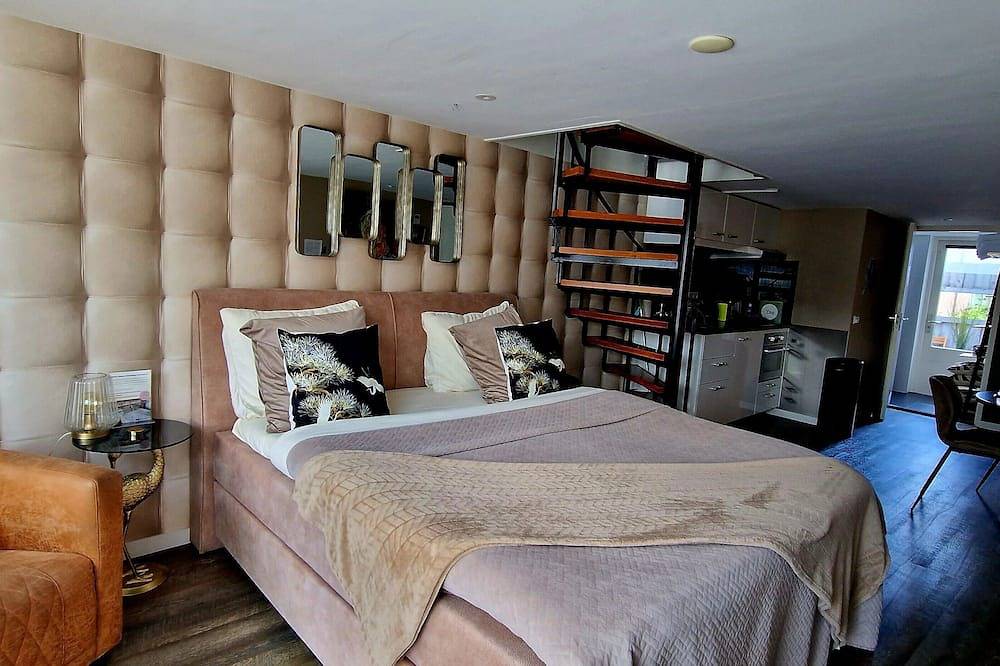 Geheel appartement, City Attic Haarlem, 4 px appartement met terras in Haarlem, Nederlandse Noordzeekust