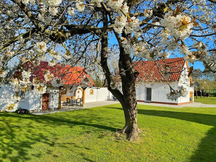 Ferienhaus für 4 Personen, mit Garten und Terrasse, kinderfreundlich in Sassnitz