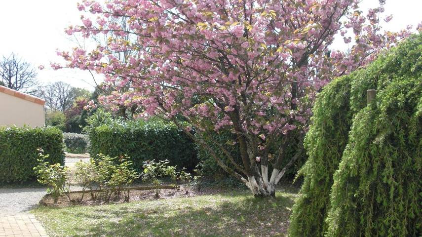 Gîte pour 2 personnes, avec jardin et piscine à Mouilleron-le-Captif - 4