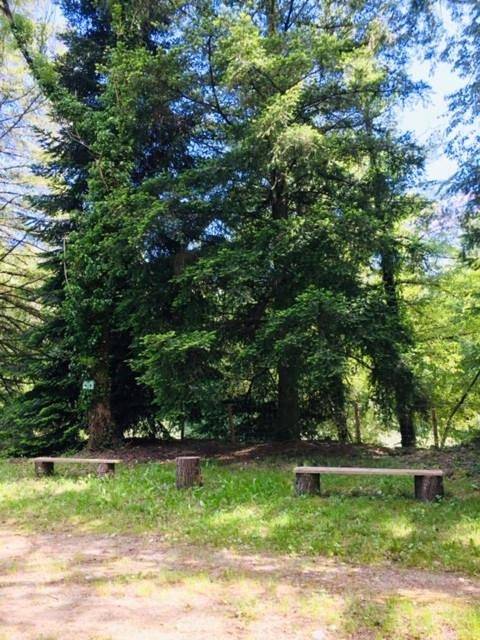 Gîte pour 4 personnes, avec jardin ainsi que piscine et vue, animaux acceptés à Saint-Michel-de-Dèze - 3