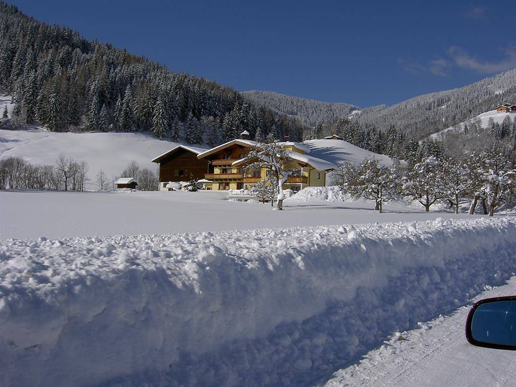 Auszeit im Landhaus (4-10 Pers. / 3 Sz, 1 Wsr) in Flachau, Tennengau