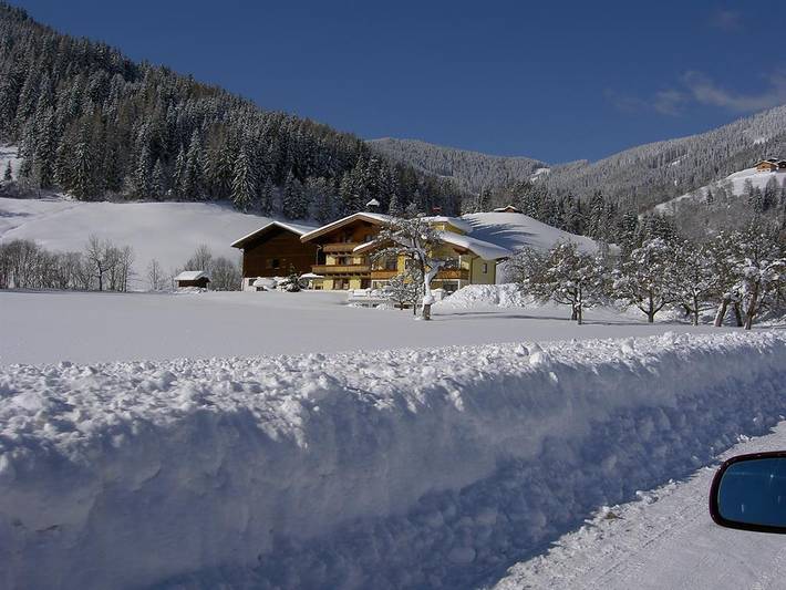 Bauernhof für 4 Personen, mit Garten und Sauna, kinderfreundlich in Flachau - 3