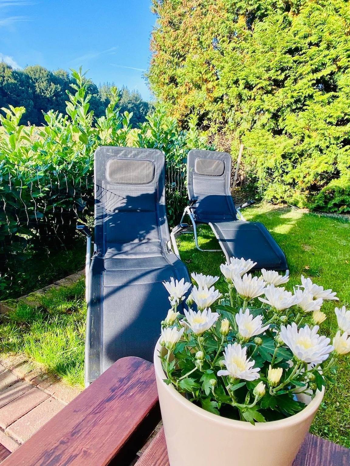 Waldesruh (Re12) in Sögel, Emsland