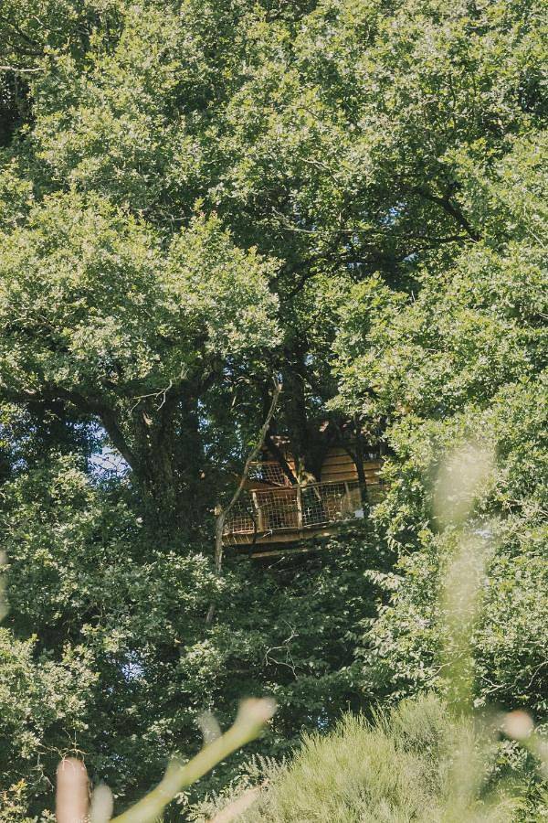 Tente pour 4 personnes, avec Jacuzzi et Terrasse dans les Landes