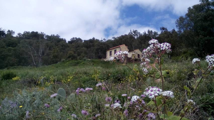 Casa rural para 6 personas, con terraza y jardín, Se admiten mascotas en Teror - 3