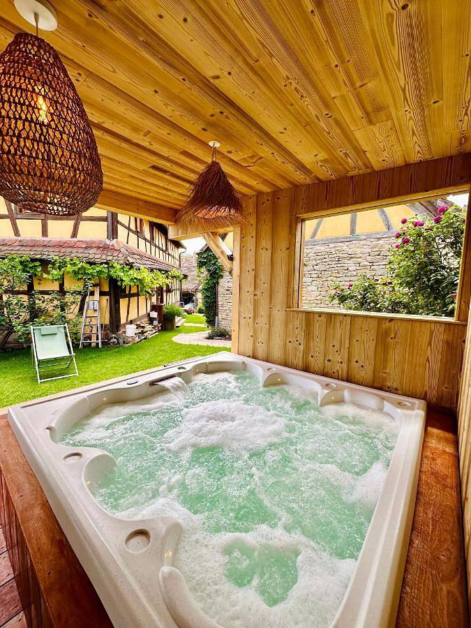 Location de vacances pour 14 personnes, avec jacuzzi ainsi que piscine et jardin, animaux acceptés à Rangen - 3