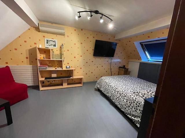 Gîte pour 4 personnes, animaux acceptés à La Wantzenau - 3