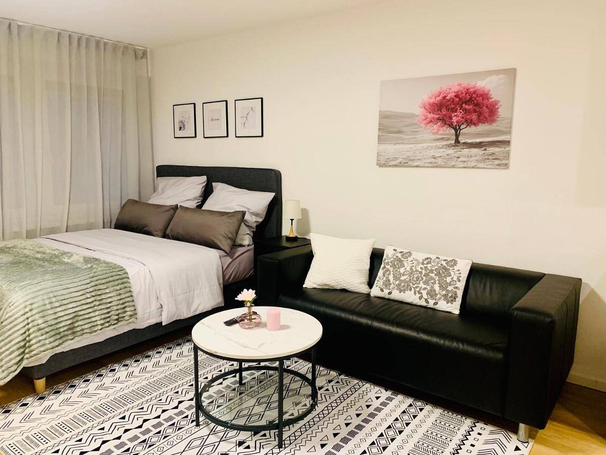 Ganze Wohnung, Modernes 1 Zimmer Appartement direkt am Wörthsee in Wörthsee, Ammersee