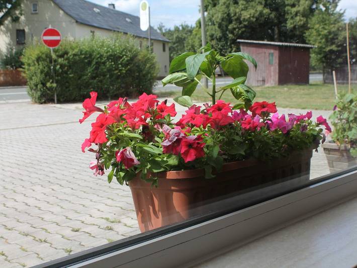 Pension Monika - Einzelzimmer Nr.7 in Pausa-Mühltroff, Chemnitz und Umgebung