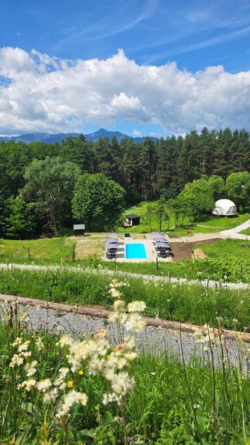 Nomad Lake Cabins in Karpaty (Rumunia)
