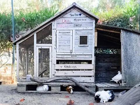 Mobil home pour 6 personnes dans Plage de la Roya - 3