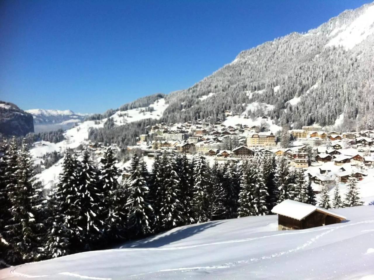 Ganze Wohnung, 2 Zimmer 2 Personen in Wengen, Lauterbrunnen