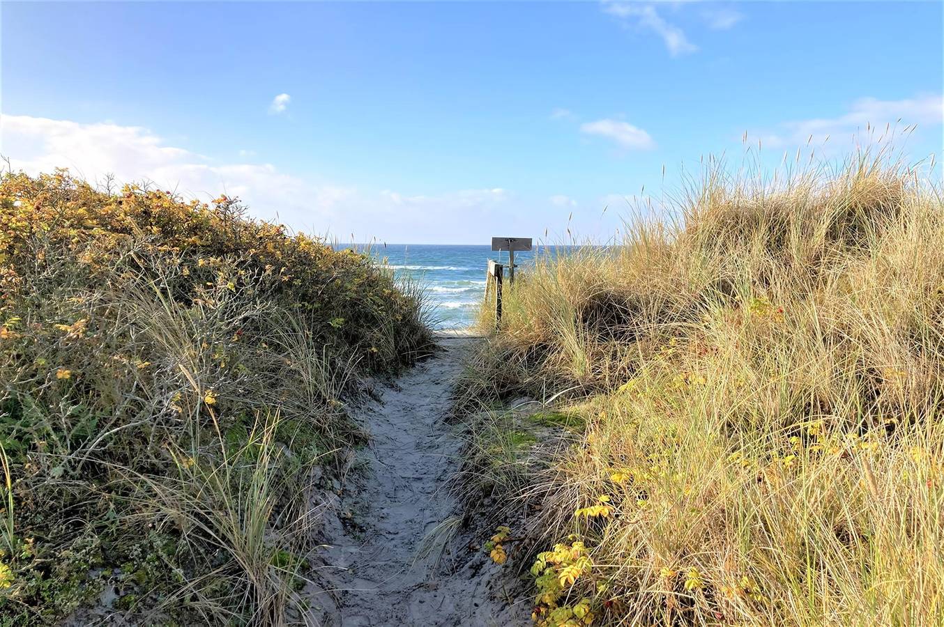 Pet friendly home in Humble with Wifi in Humble, Langeland