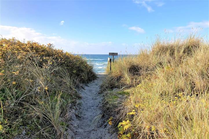 Ferienhaus für 6 Personen, mit Terrasse auf Langeland - 2
