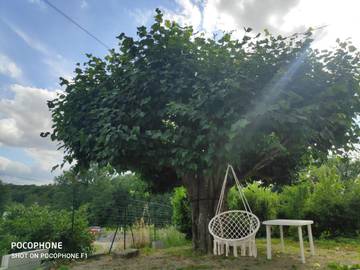 Maison d’hôte pour 4 personnes, avec jardin et vue à Roumagne
