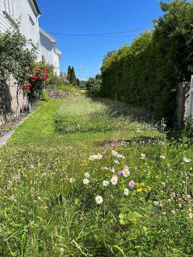 Ferienwohnung für 2 Personen, mit Garten und Terrasse in Fredrikstad - 4